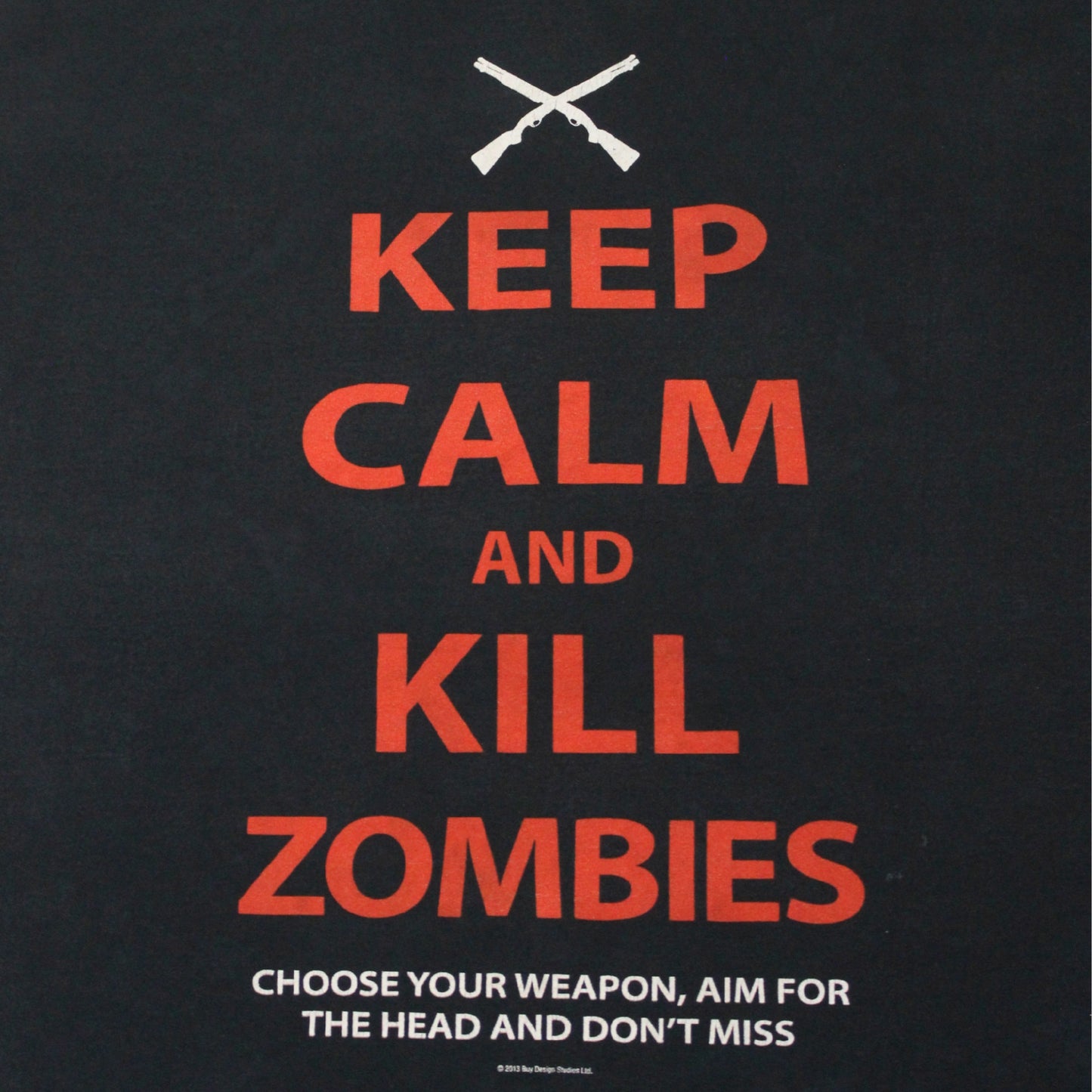 2013 KILL ZOMBIES TEE