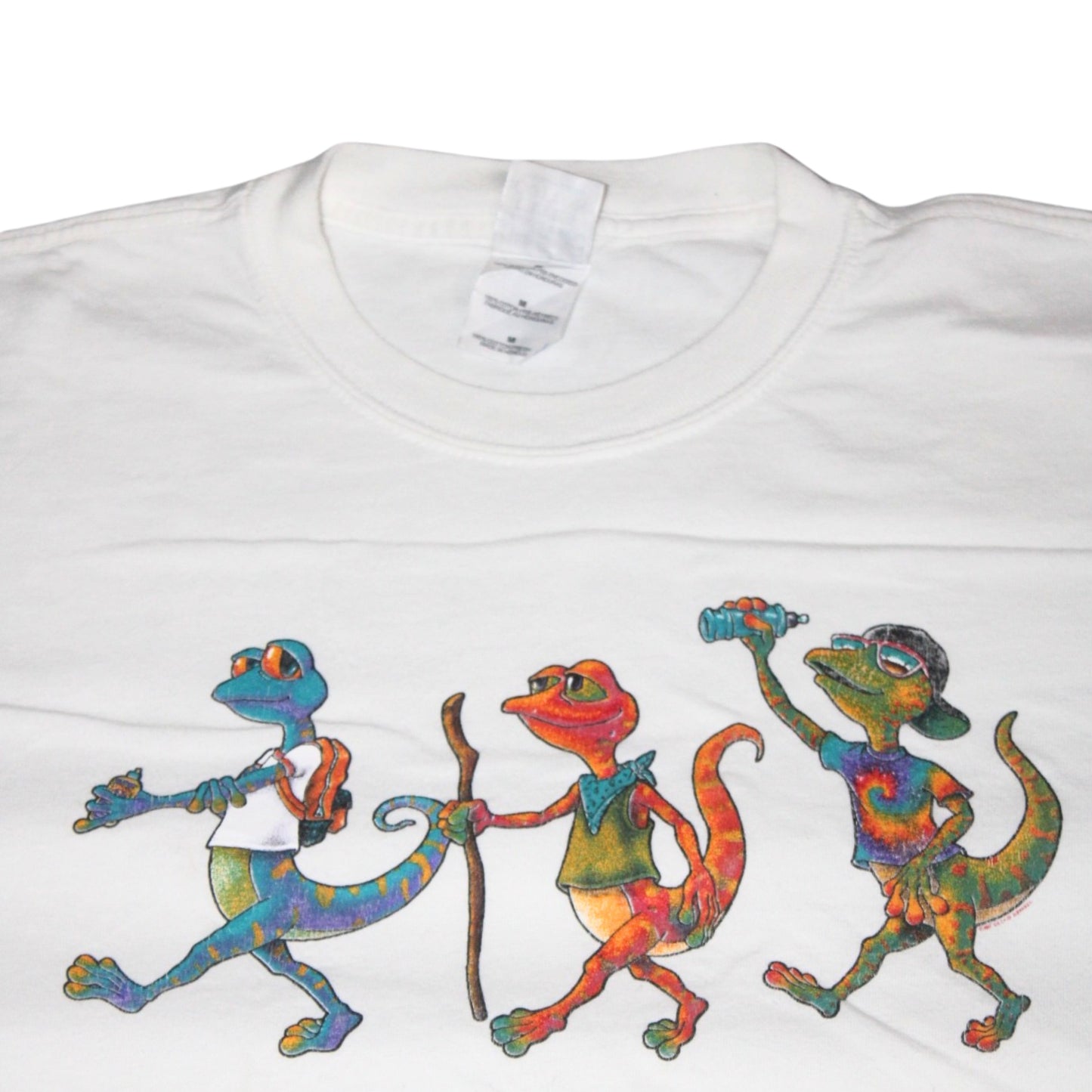 2000S LAKE TAHOE LIZARD HIKERS TEE