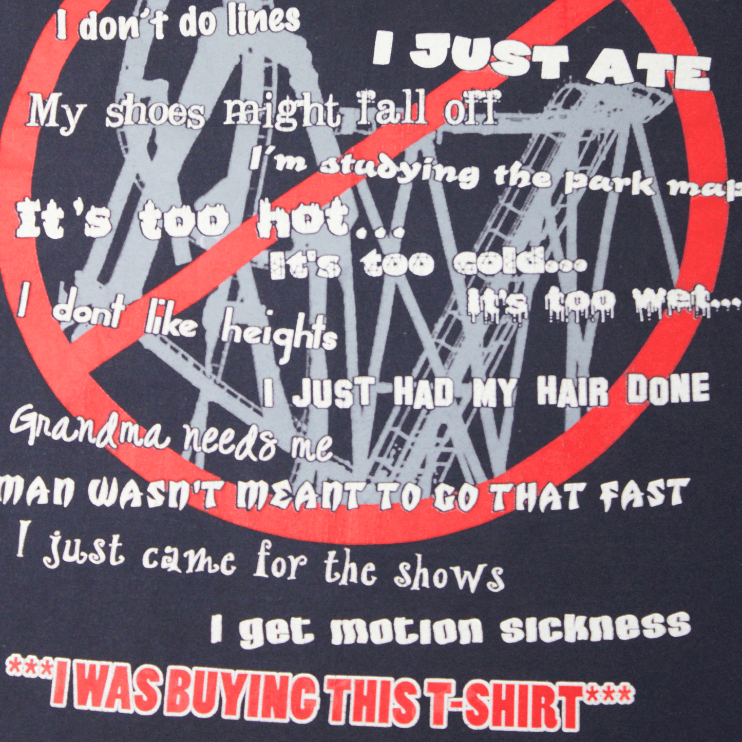 2000S BUSCH GARDEN TEE