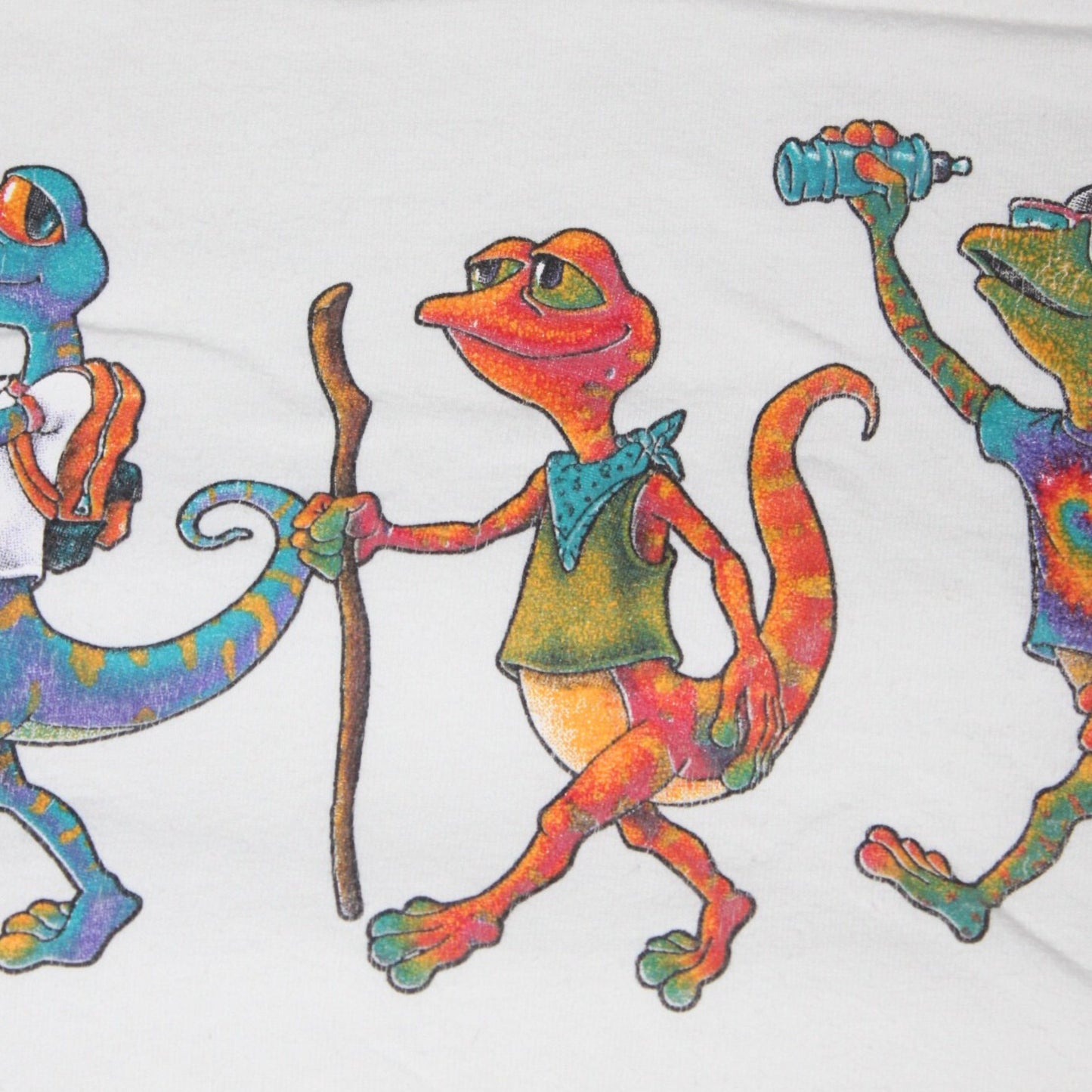 2000S LAKE TAHOE LIZARD HIKERS TEE