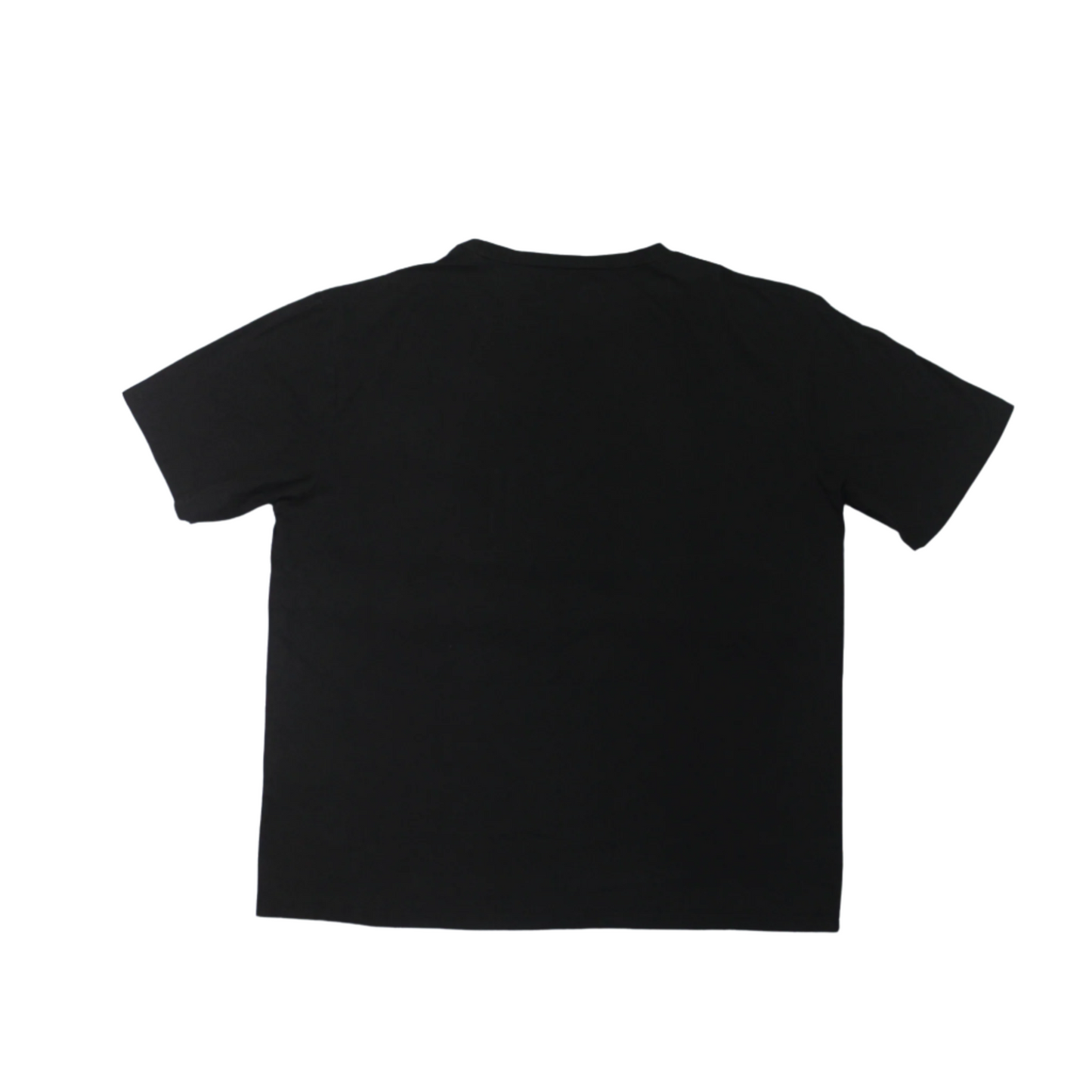 2010S CROP KING SEEDS TEE