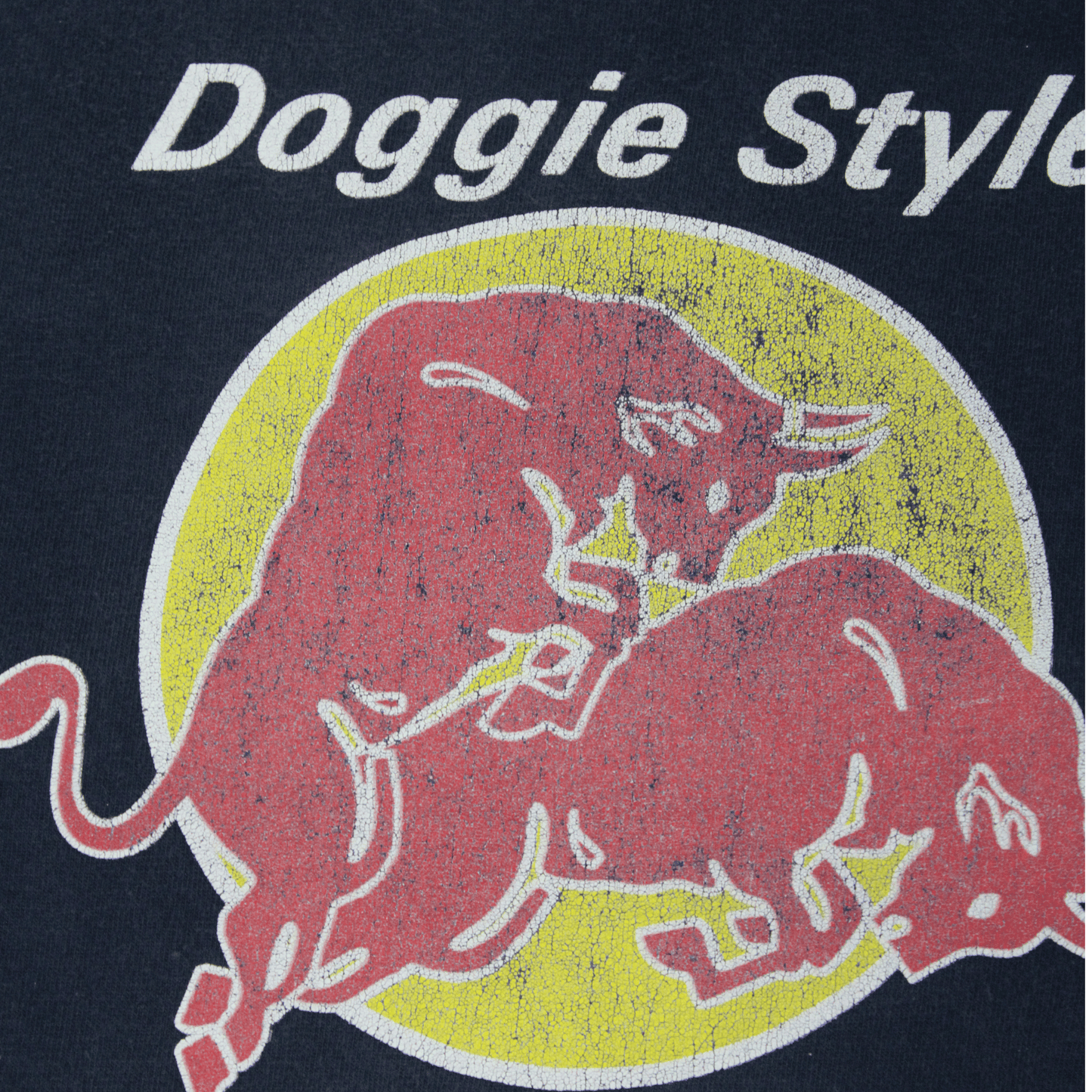 VTG DOGGIE STYLE BAD BULL TEE