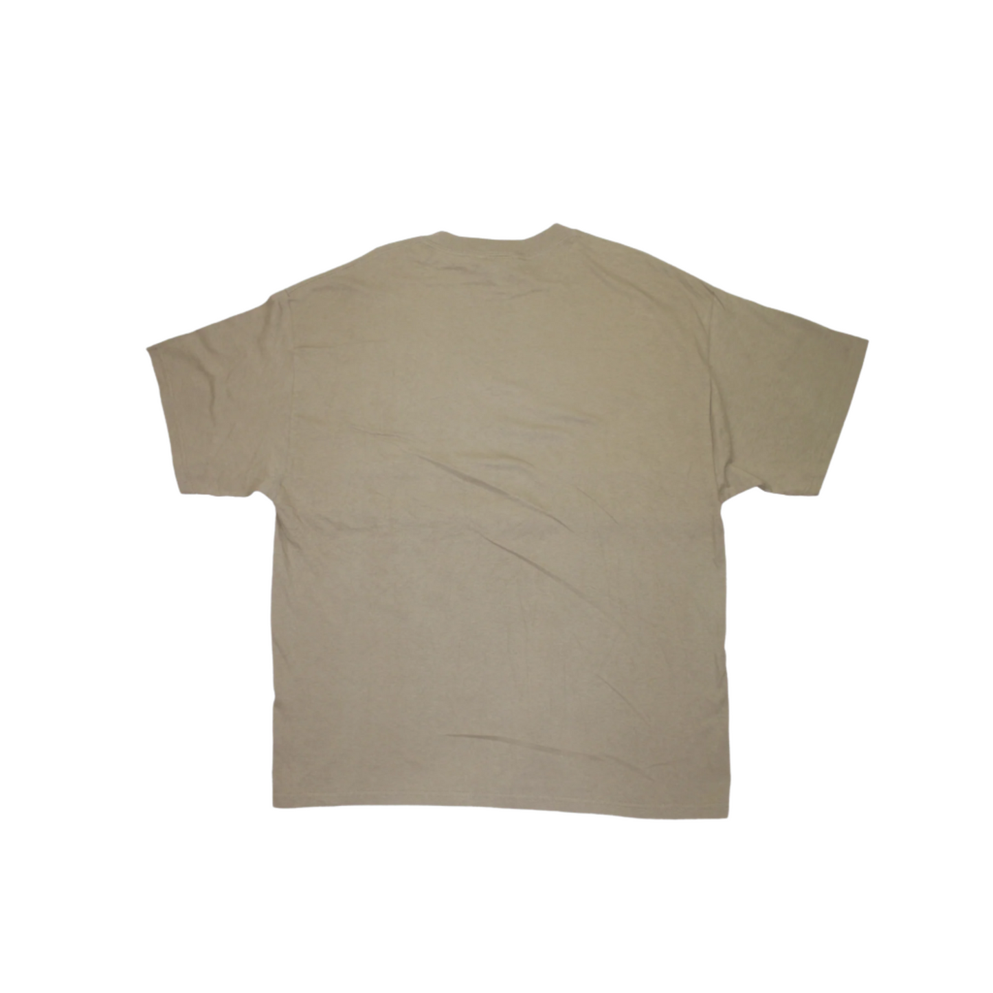 2010S GEORGIA TEE