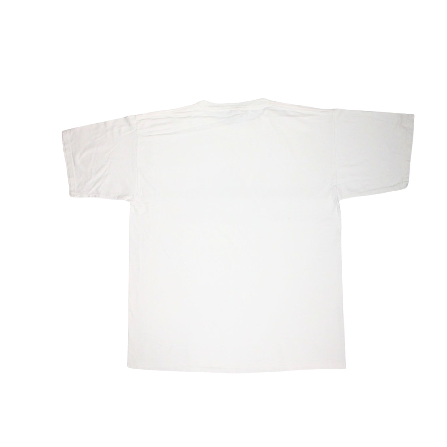 2000S VIRGINIA BEACH DOLPHIN SAIL TEE