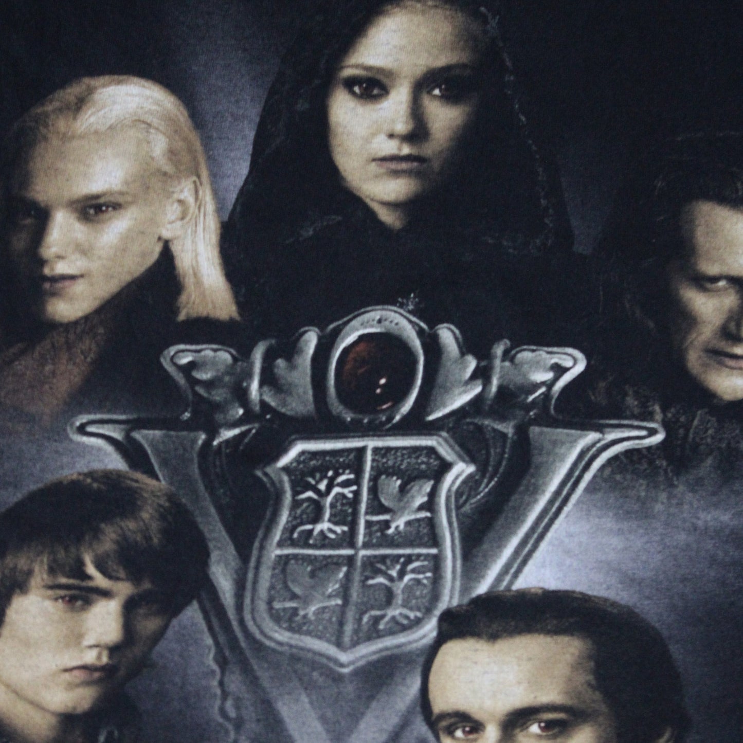 2000S TWILIGHT SAGA NEW MOON TEE