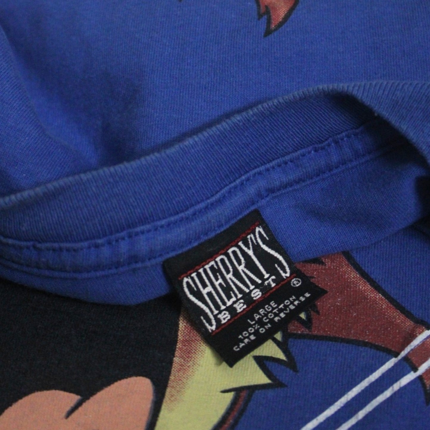 1997 LOONEY TUNES TAZ “FLORIDA” TEE