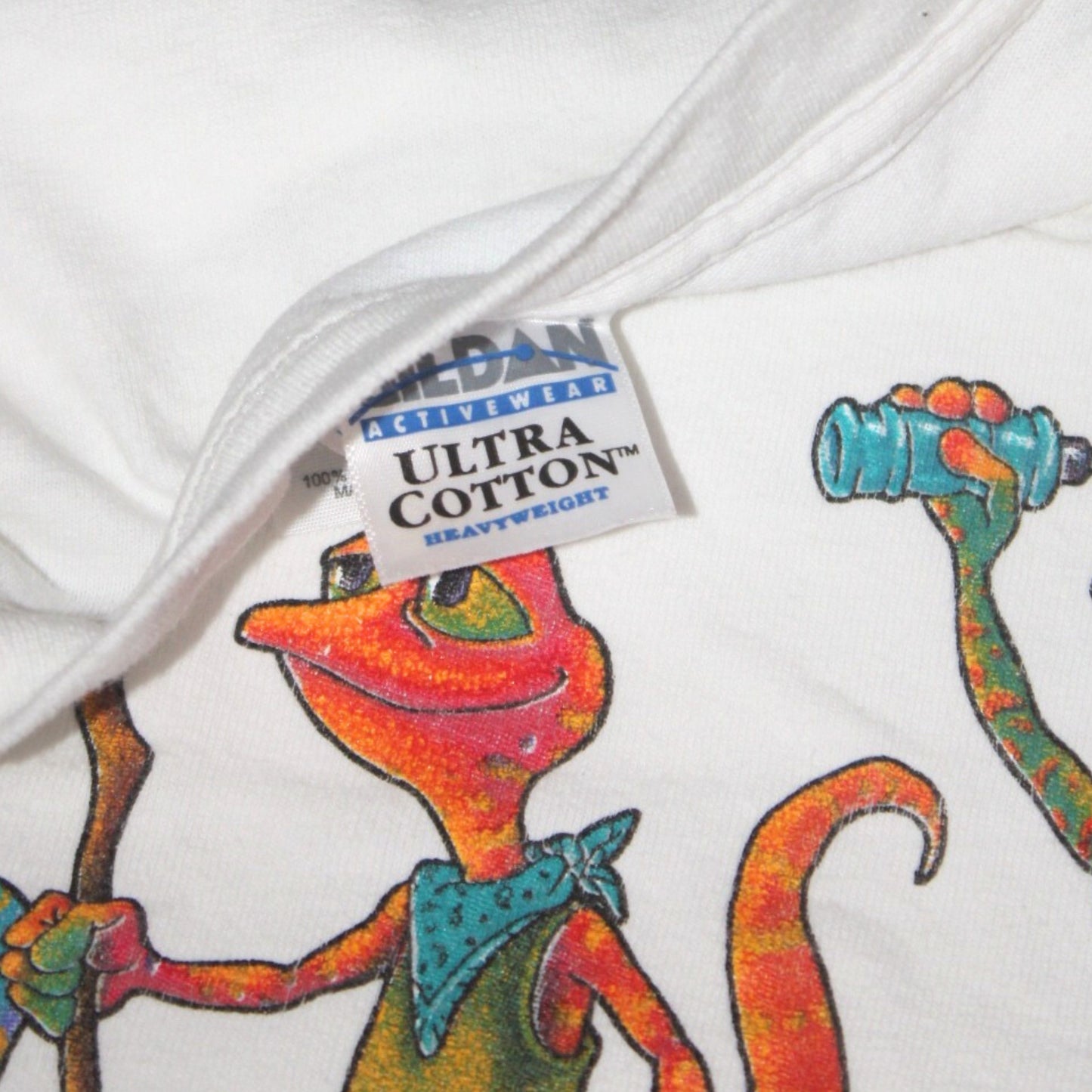 2000S LAKE TAHOE LIZARD HIKERS TEE