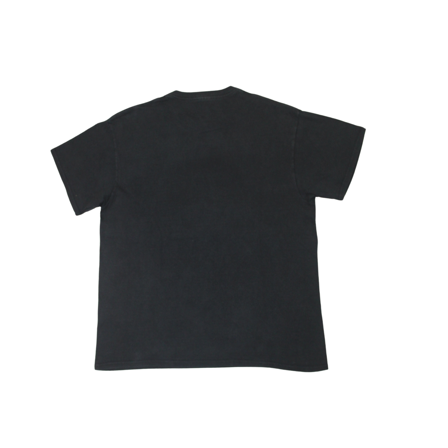 2010'S DOUG THE PUG TEE