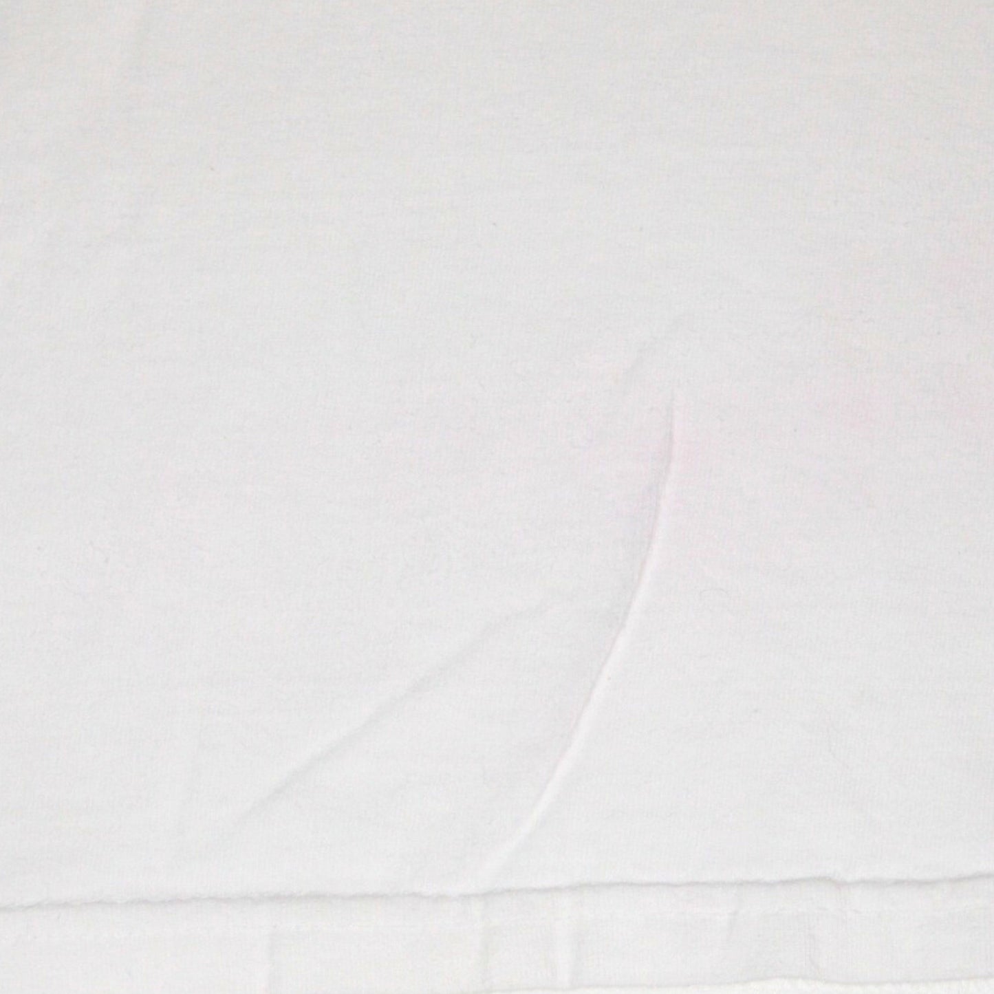 2000S LAKE TAHOE LIZARD HIKERS TEE