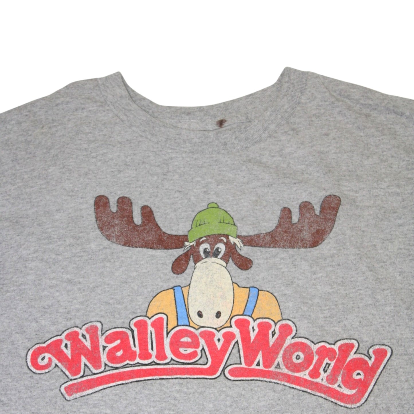 2010S VALLEY WORLD TEE