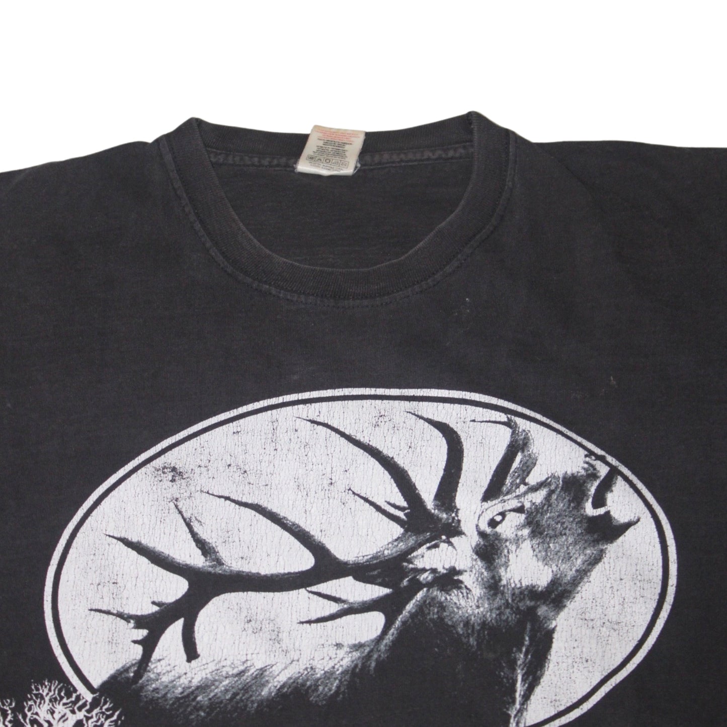 2000S ISREGEN THÜRINGEN TEE