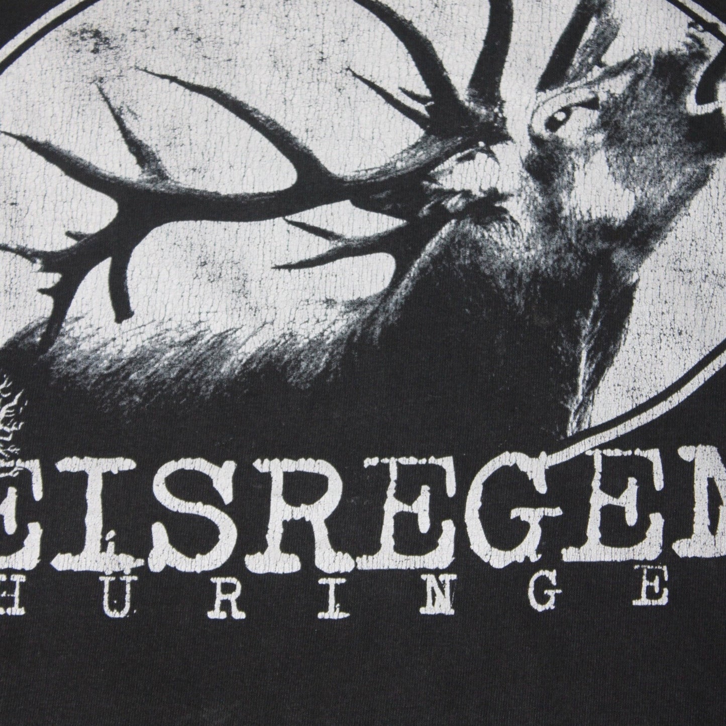 2000S ISREGEN THÜRINGEN TEE