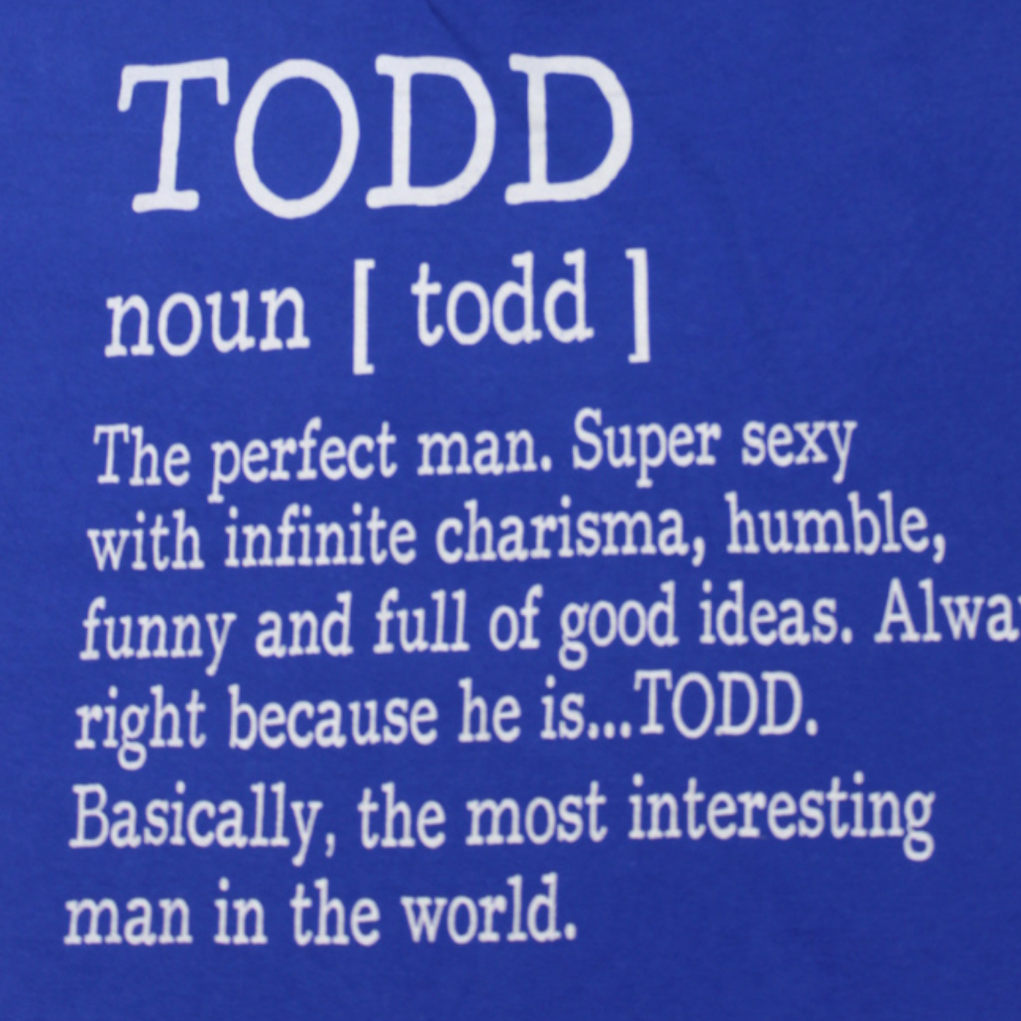 2010S "TODD — THE PERFECT MAN" NOVELTY TEE