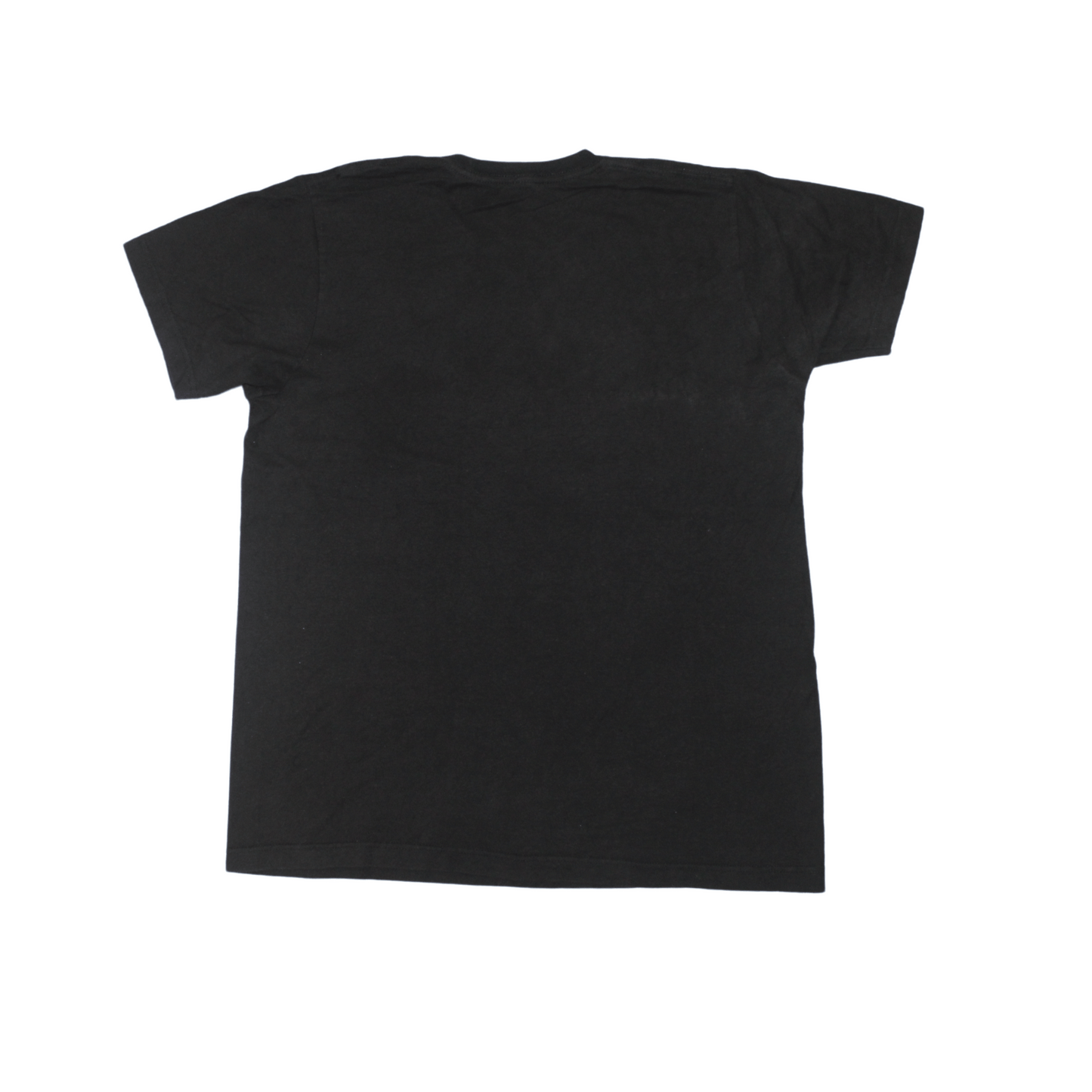 2010S PANIC AT THE DISCO TEE