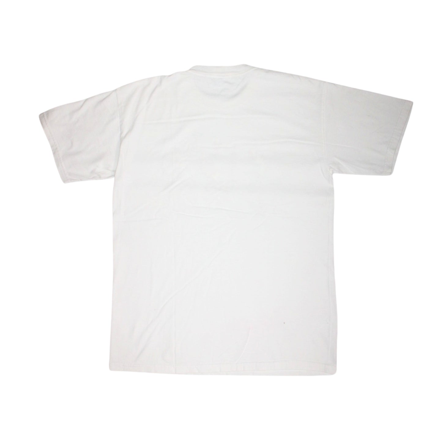 2000S LAKE TAHOE LIZARD HIKERS TEE