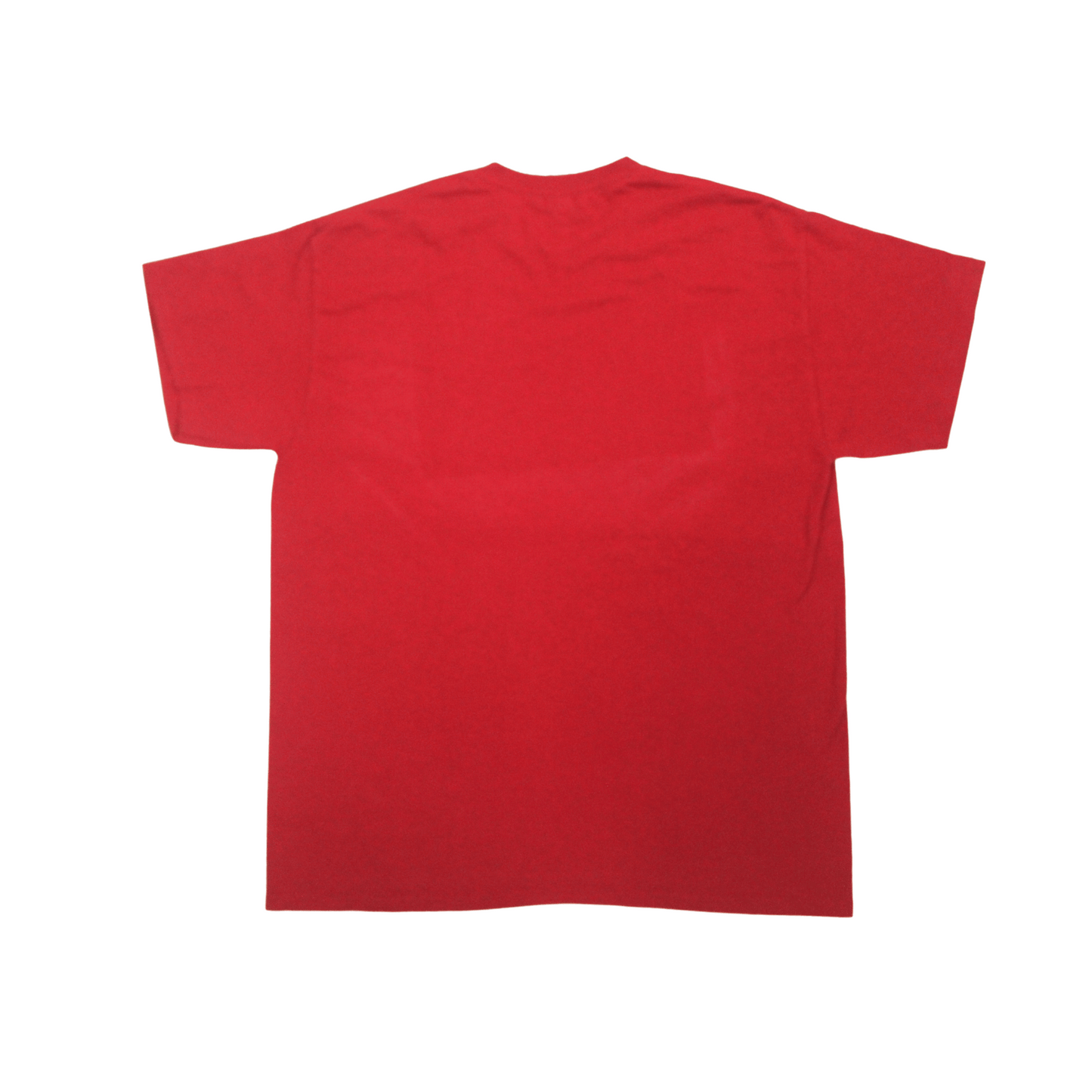 2010S MASKS SPRAY TEE