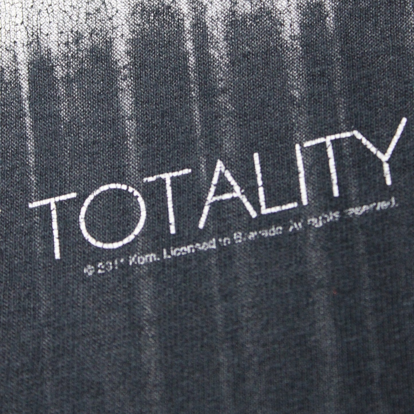 2013 KORN “THE PATH OF TOTALITY” TOUR TEE