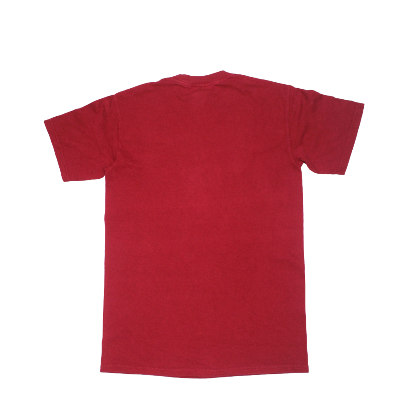 2000S PORNSTAR "LOGO" SKATE TEE
