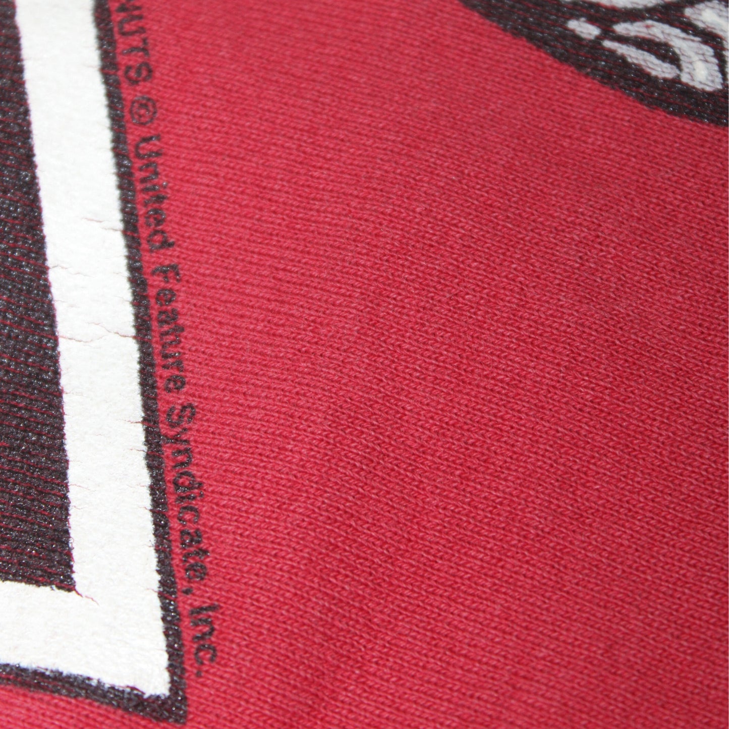 1990S ARKANSAS RAZORBACKS × PEANUTS SWEATSHIRT