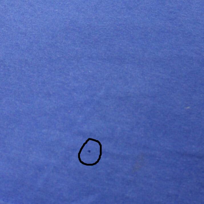 2010S PHILADELPHIA PHILLIES TEE