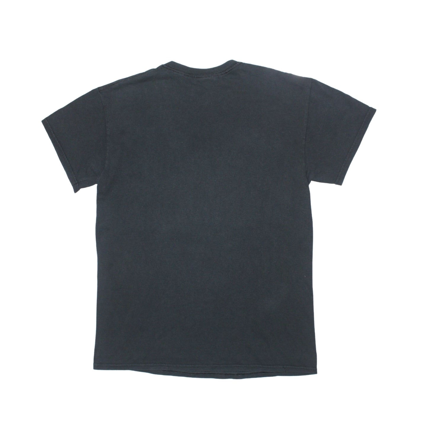 2013 KORN “THE PATH OF TOTALITY” TOUR TEE